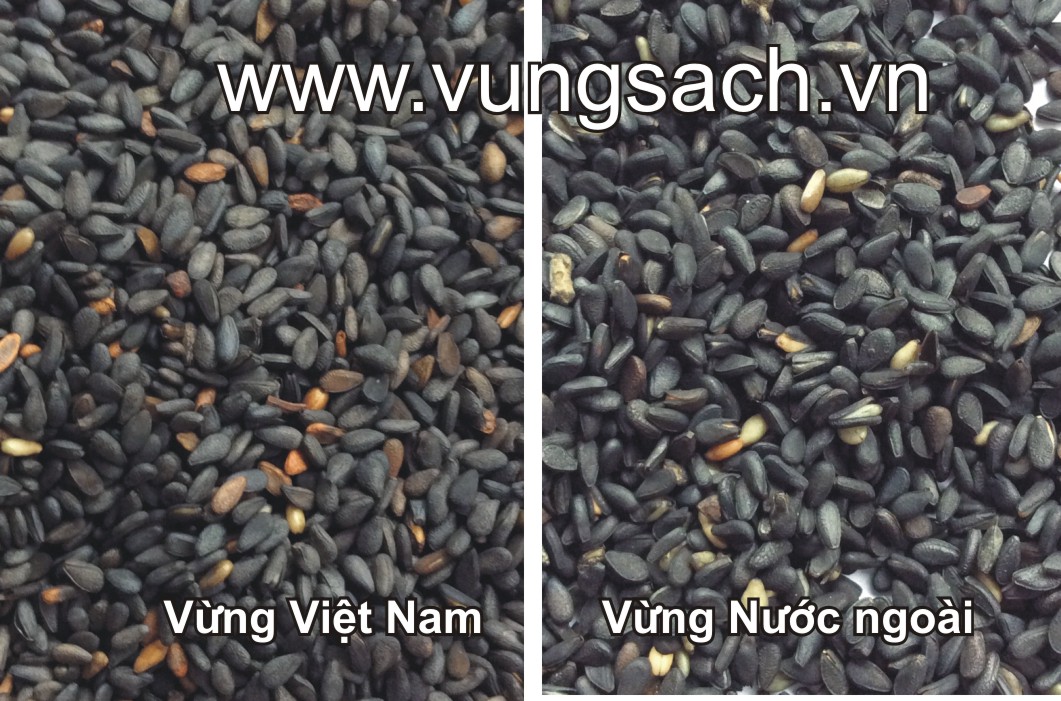 Cách nhận biết vừng đen nước ngoài kém chất lượng Cách nhận biết vừng đen nước ngoài kém chất lượng